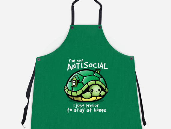 Antisocial Turtle