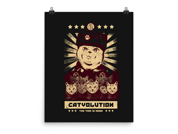 Catvolution