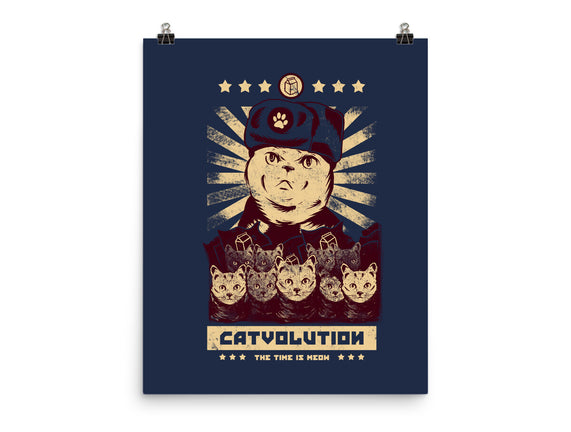 Catvolution