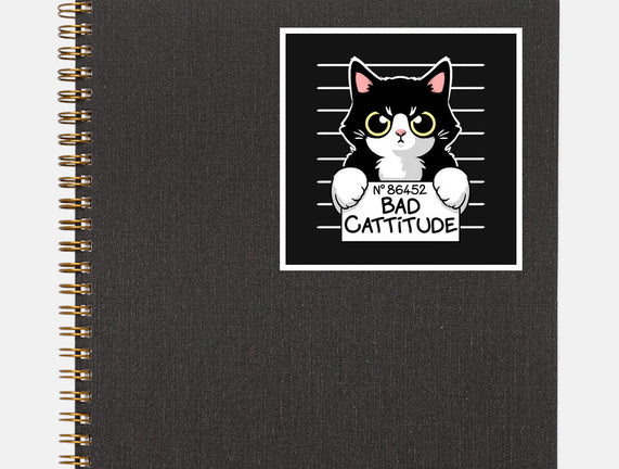 Bad Cattitude