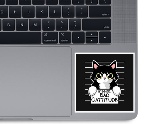 Bad Cattitude