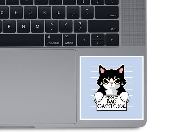 Bad Cattitude