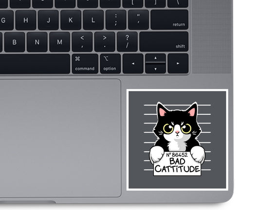 Bad Cattitude