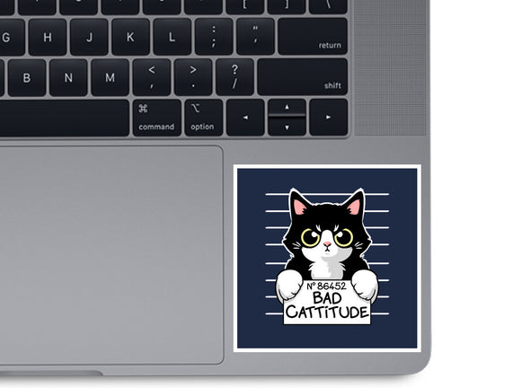 Bad Cattitude