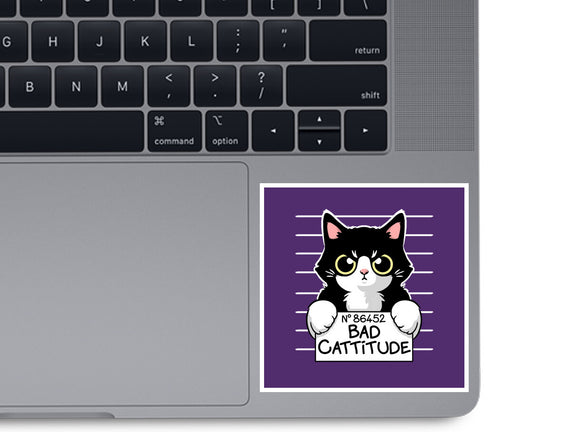 Bad Cattitude