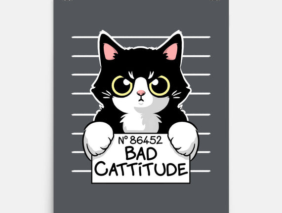 Bad Cattitude