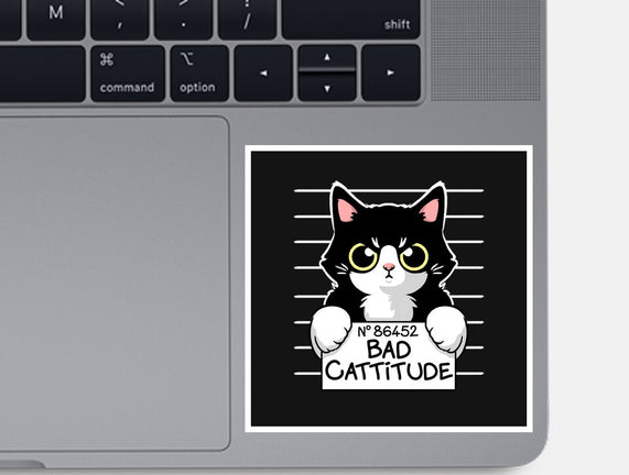 Bad Cattitude