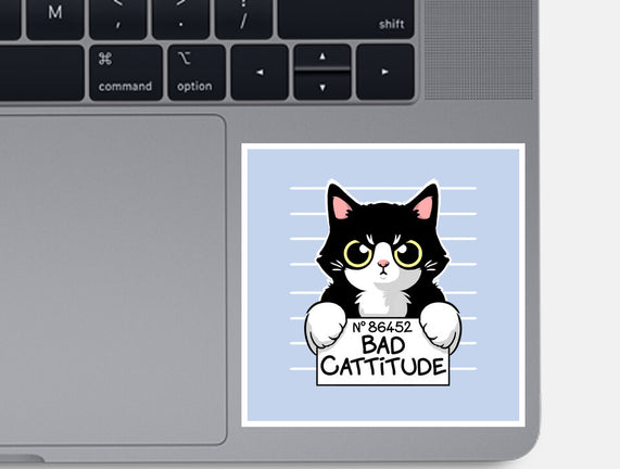 Bad Cattitude