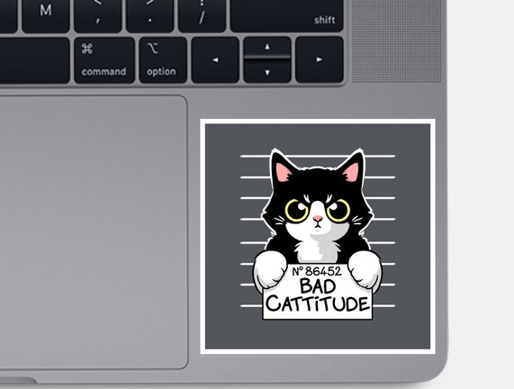 Bad Cattitude