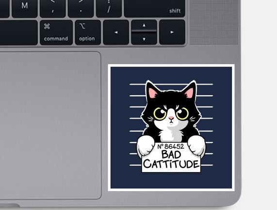 Bad Cattitude