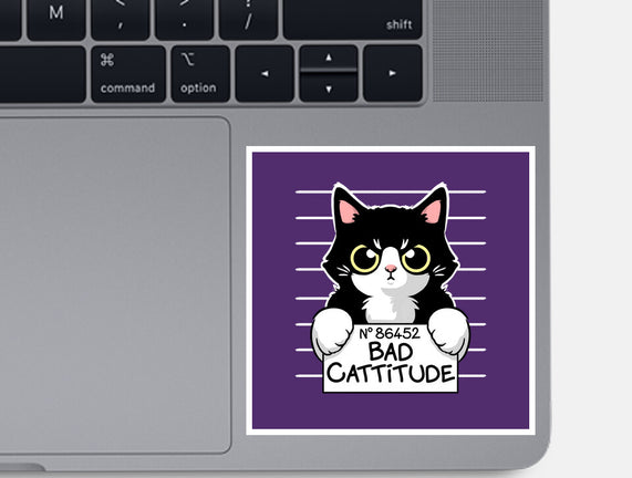 Bad Cattitude