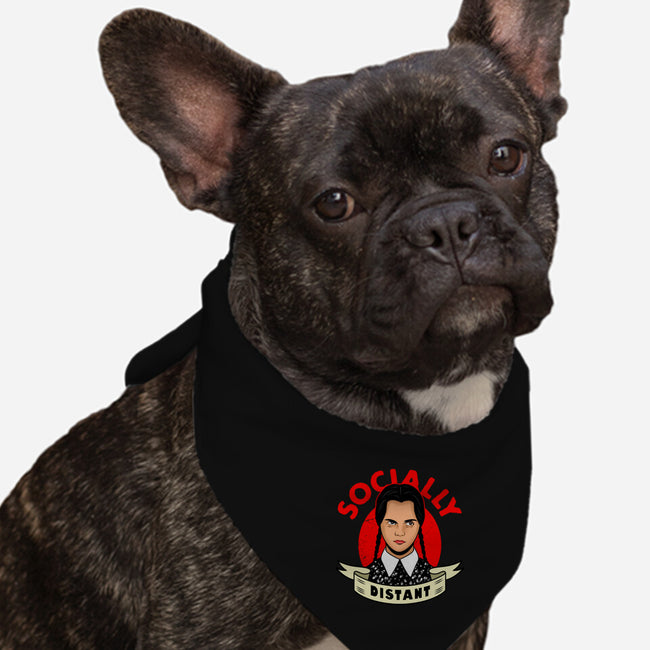 Socially Distant Girl-dog bandana pet collar-Boggs Nicolas