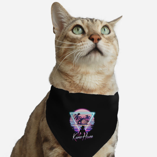 Kame Island Postcard-cat adjustable pet collar-dandingeroz