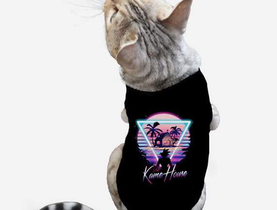 Kame Island Postcard