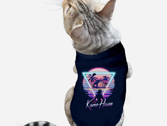 Kame Island Postcard