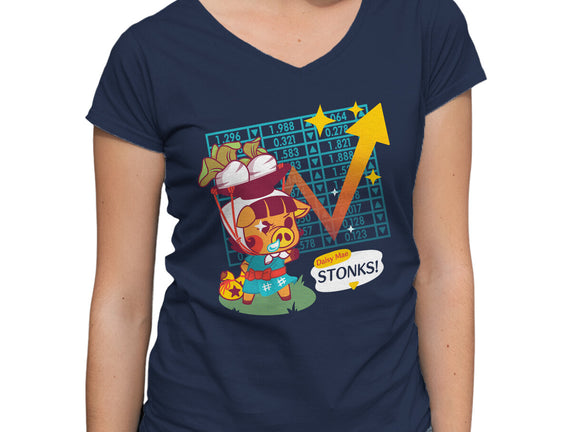 Turnip Stonks