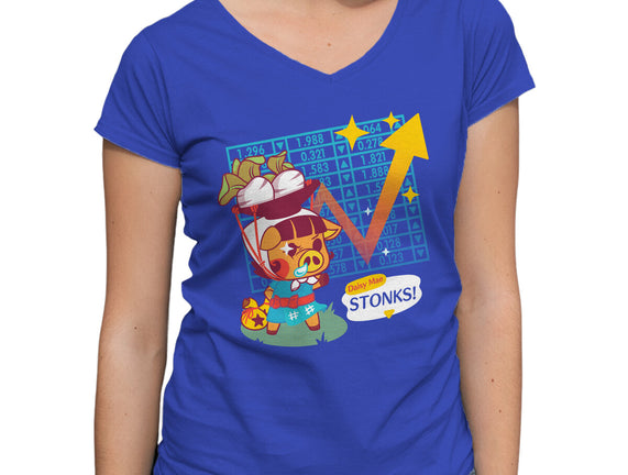 Turnip Stonks