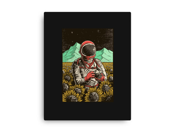 Space Flowers