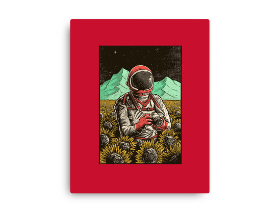 Space Flowers
