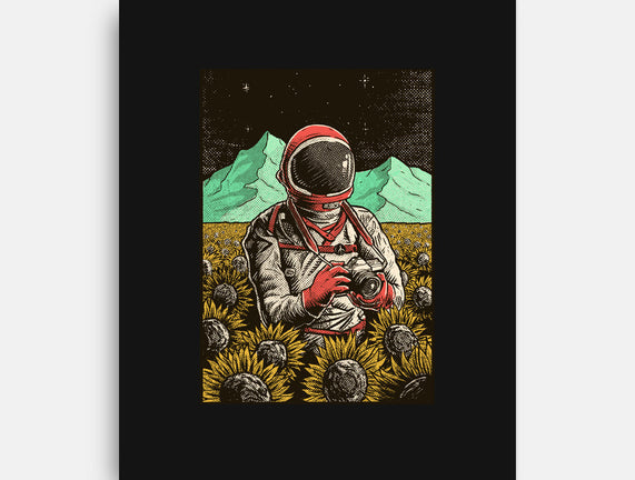 Space Flowers