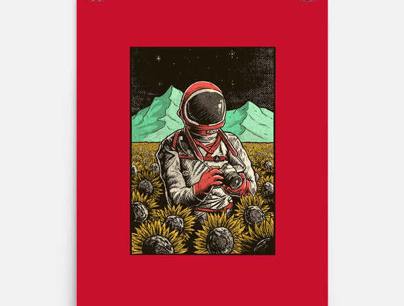 Space Flowers