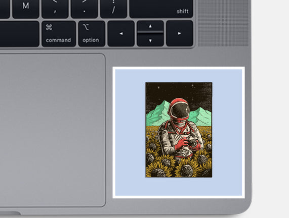 Space Flowers