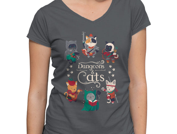 Dungeons & Cats 2