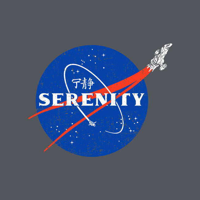 Serenity-womens v-neck tee-kg07