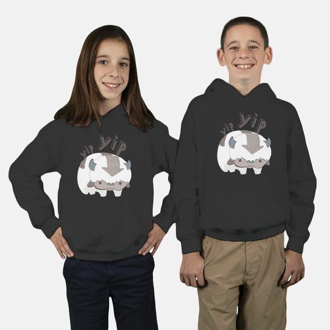 Let's Fly-youth pullover sweatshirt-StinkPad