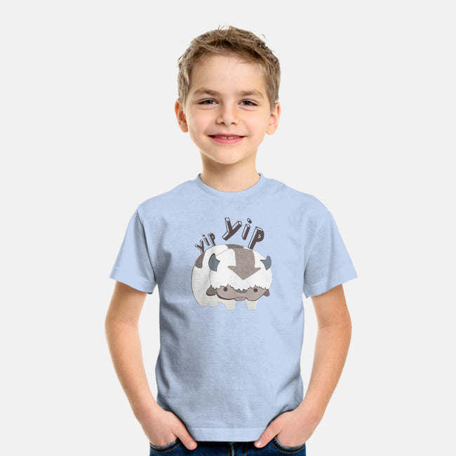 Let's Fly-youth basic tee-StinkPad