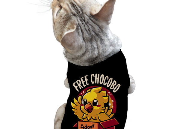 Adopt a Chocobo