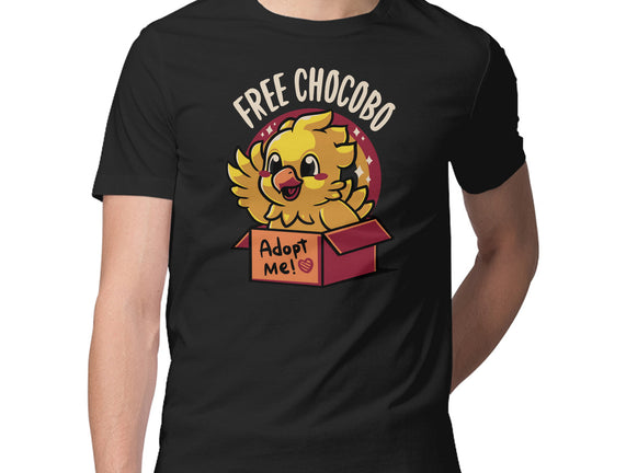 Adopt a Chocobo