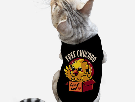 Adopt a Chocobo
