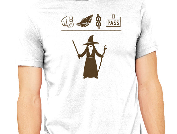 Wizard Hieroglyphs