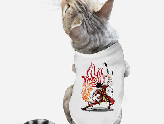 The Power of the Fire Nation