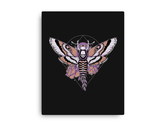 Death Moth