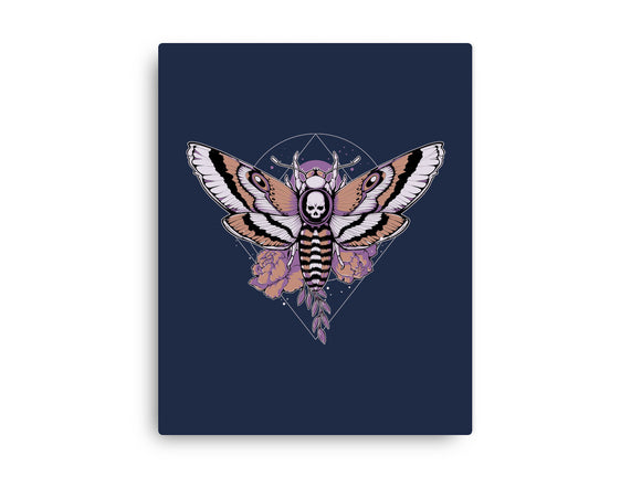 Death Moth
