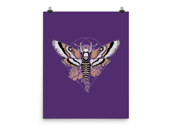Death Moth