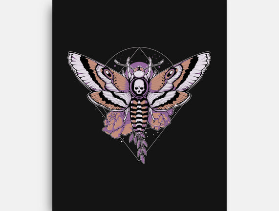 Death Moth