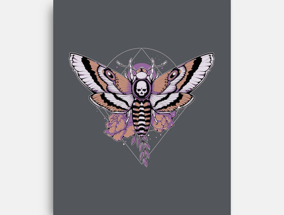 Death Moth