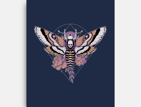 Death Moth