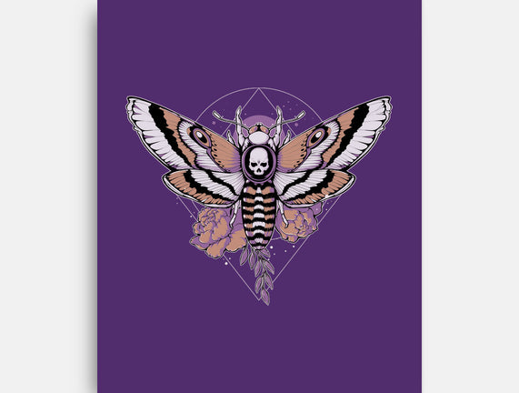 Death Moth
