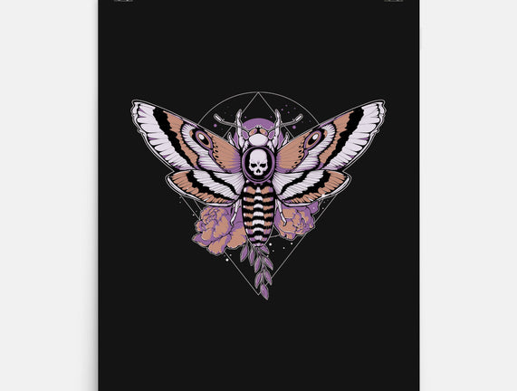 Death Moth