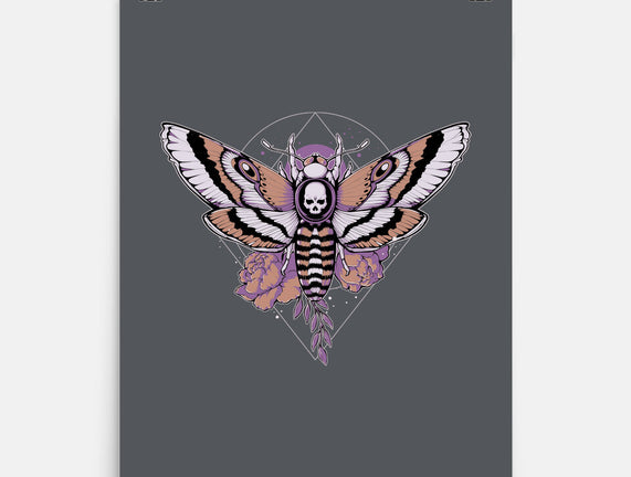 Death Moth