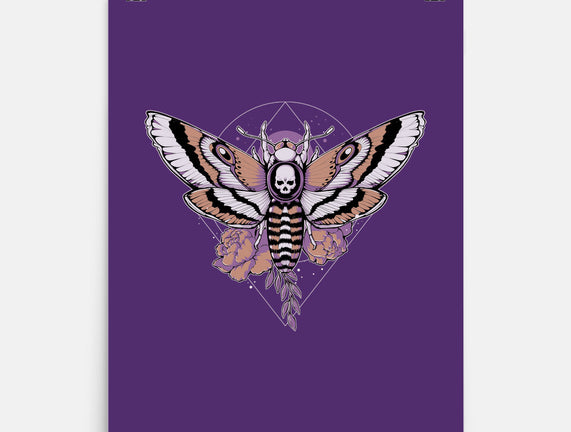 Death Moth