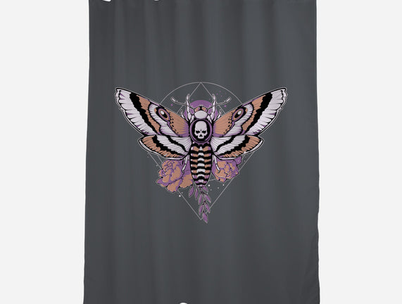 Death Moth