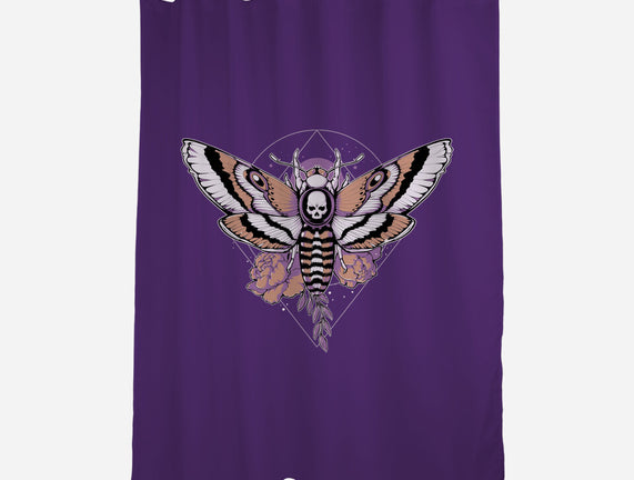 Death Moth