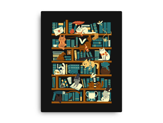 Library Magic School