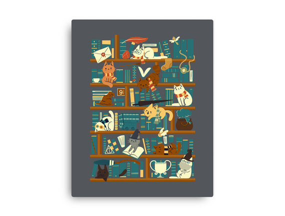 Library Magic School