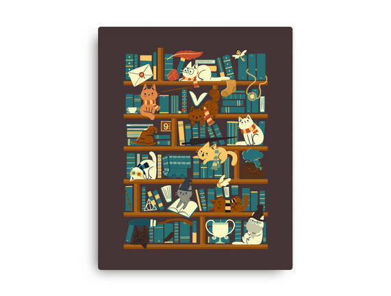 Library Magic School
